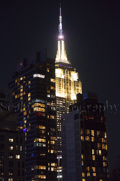 Soho 242