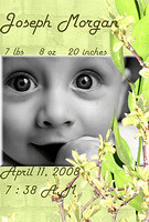 Birth Announcements