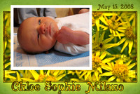 Birth Announcements