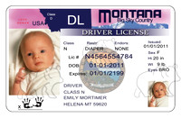 Birth Announcements