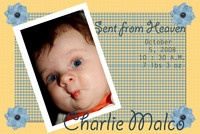 Birth Announcements