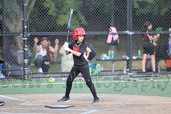 Tigers Knights 06-27-24 - 002