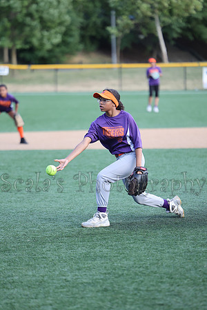 Tigers Knights 06-27-24 - 004