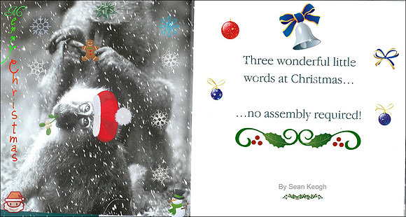 Christmas Saying 7.jpg