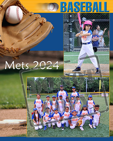 BASEBALL2_VSM mets