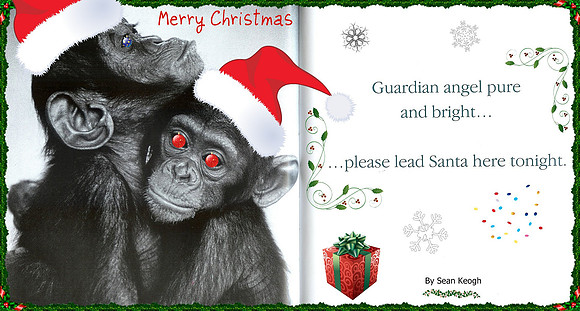 Christmas Saying 6.jpg