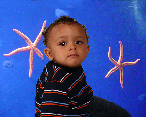 IMG_0215 8x10 fish